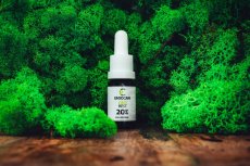 CBD REST Fullspectrum 20%