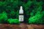 CBD REST Fullspectrum 5%