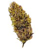 CBD-BLUMEN