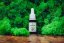 CBD FOCUS Fullspectrum 15%