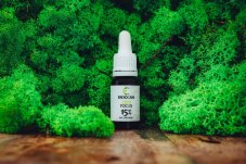 CBD FOCUS Fullspectrum 15%