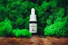 CBD REST Fullspectrum 20%