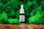 CBD FOCUS Fullspectrum 20%