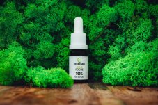 CBD FOCUS Fullspectrum 10%