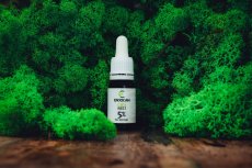 CBD REST Fullspectrum 5%