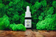 CBD FOCUS Fullspectrum 20%