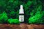 CBD REST Fullspectrum 15%